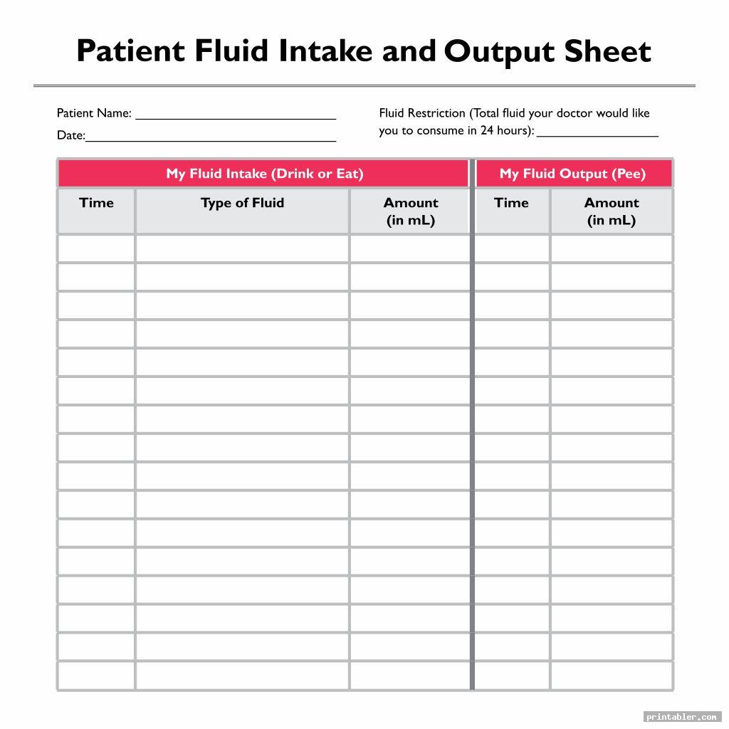 Fluid Intake Chart Printable